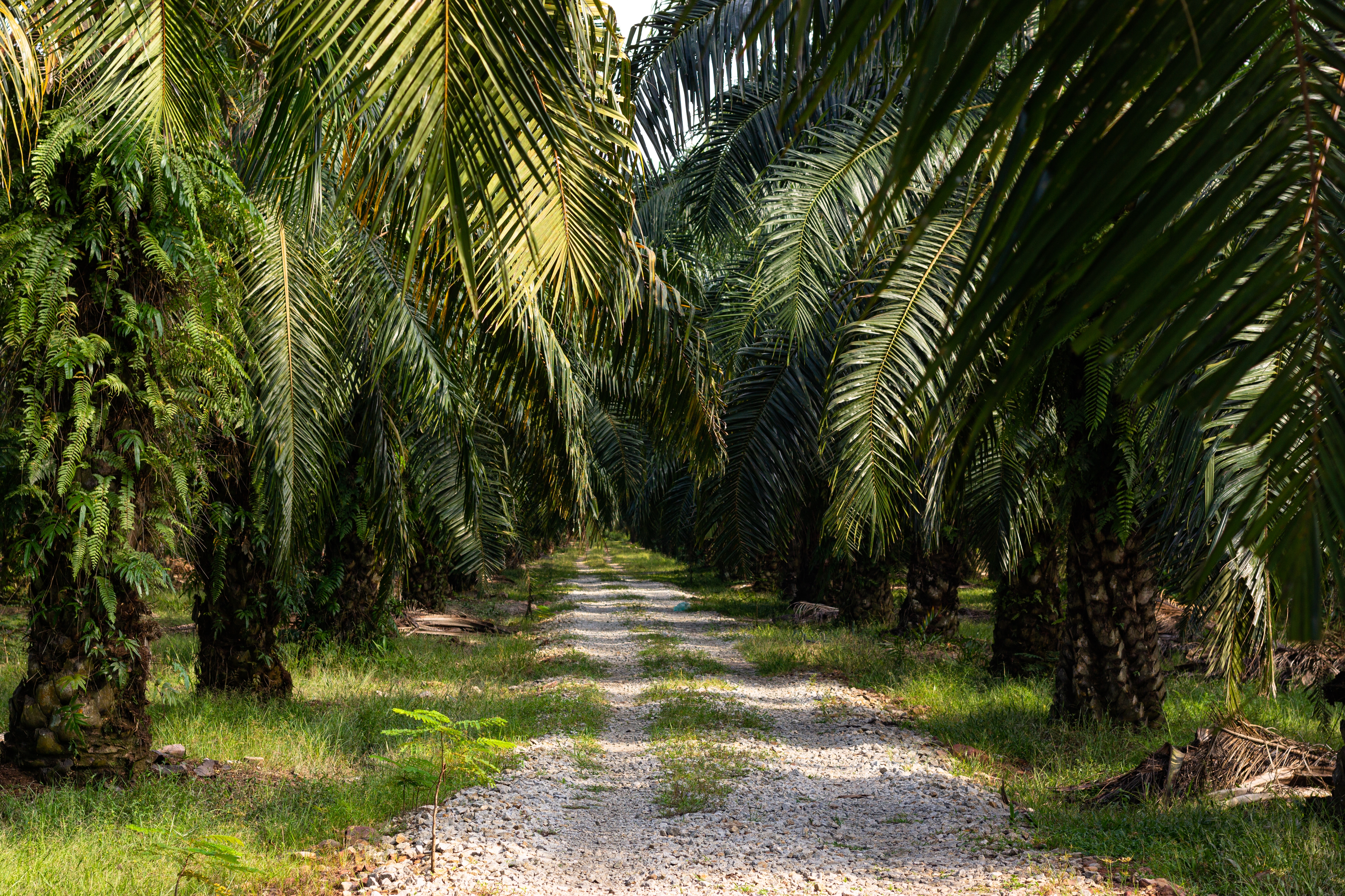 Shariah-Compliant Commodity Trading Workflow